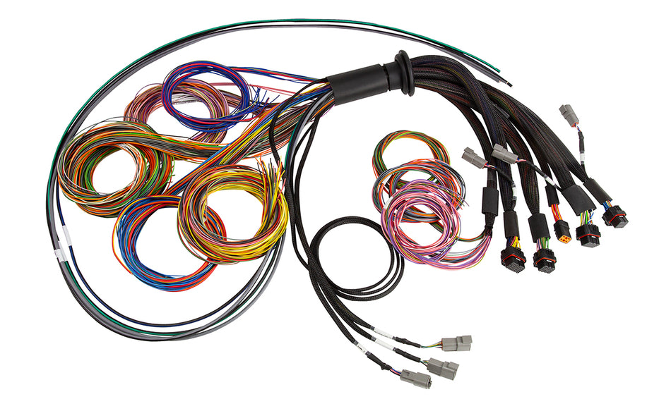 Haltech Nexus R5 Universal Wire-In harness - 2.5M (8) Length: 2.5M
