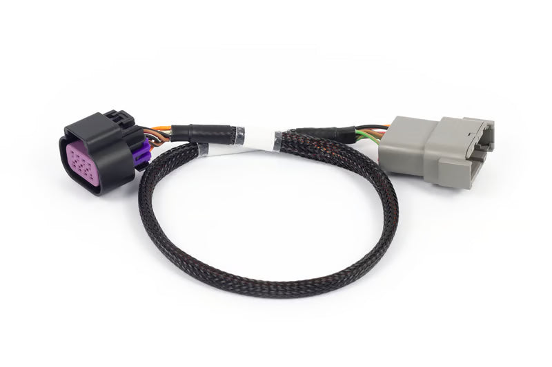 Haltech Nexus Rebel LS - 8-pin DBW adaptor
