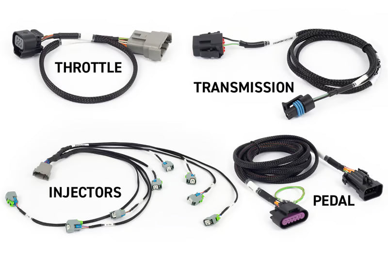 Haltech Rebel LS Kit - Suits Gen IV - 6-pin DBW, EV6 Injectors , Manual Transmission