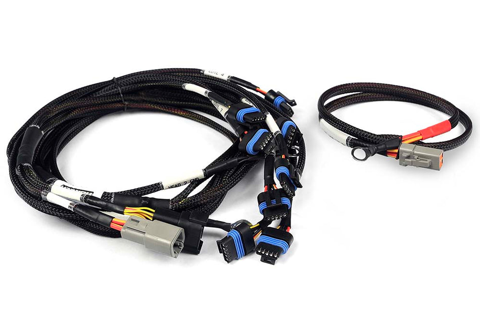 Haltech Nexus V8 Ignition-1A Ford Harness